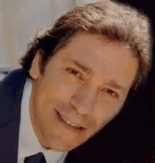 Stefano Pandolfi